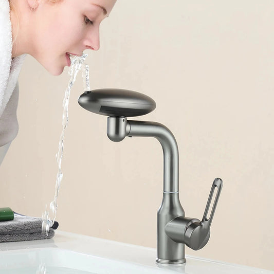 WashPro™ Hot & Cold Basin Faucet with Sprayer